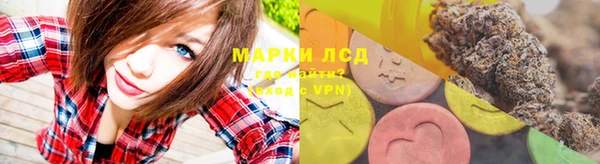 мяу мяу мука Абаза