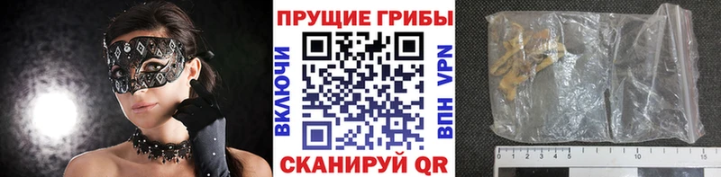 кракен ссылки  цена   Нижнекамск  Галлюциногенные грибы GOLDEN TEACHER 
